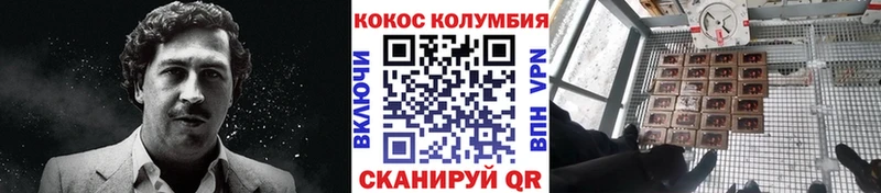 COCAIN Перу Ильский
