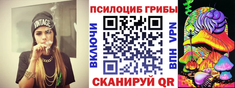 купить наркотик  mega   Псилоцибиновые грибы ЛСД  Ильский 