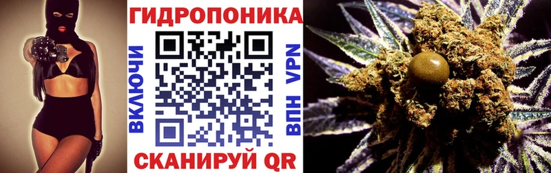 Канабис ГИДРОПОН  Ильский 